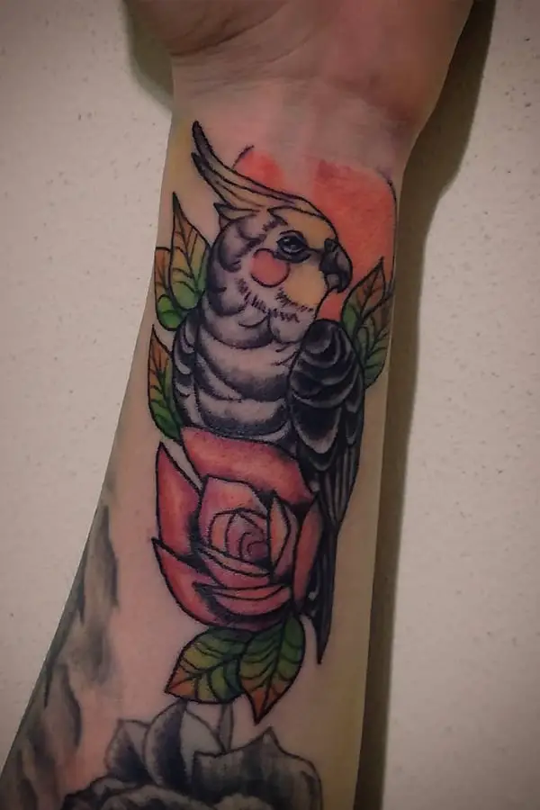 Colorful parrot tattoo with a rose on the forearm for women