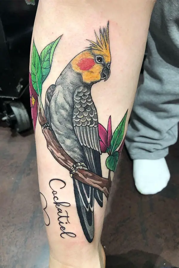 Large parrot tattoo with inscription on forearm for men