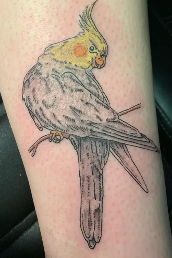 Large parrot tattoo on the leg for men