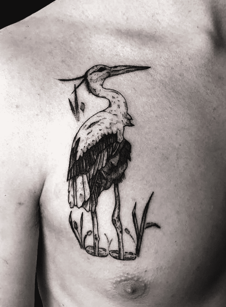 Stork tattoo on the chest for men