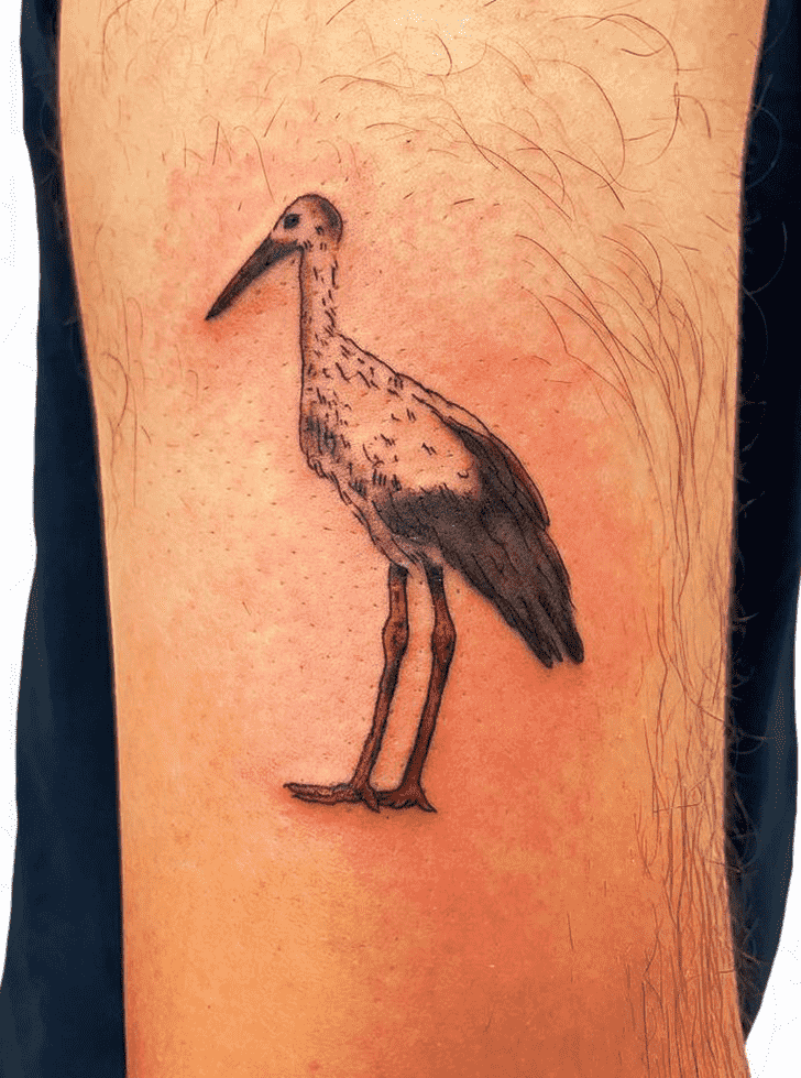 Stork tattoo on the arm for men