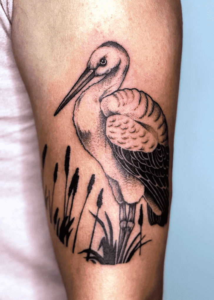 Large stork tattoo on the shoulder for women