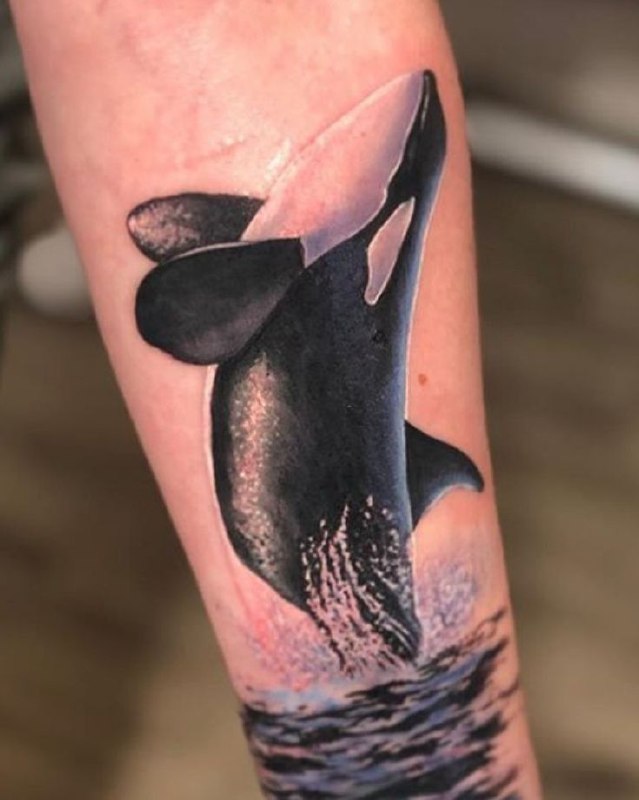 Colored orca tattoo on the forearm for women