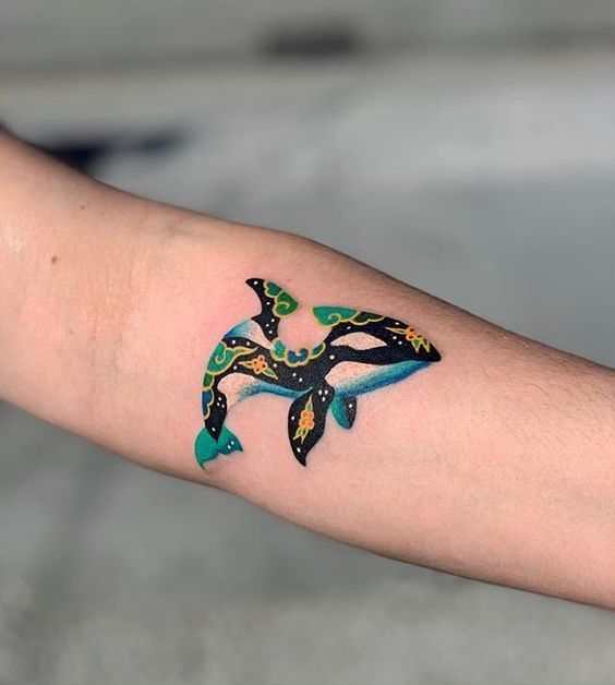 Colored orca tattoo on the forearm for women