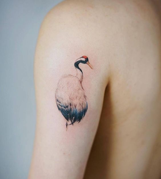 Color tattoo of a crane on the shoulder for men