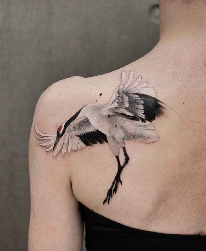 Colorful crane tattoo on the shoulder blade for women