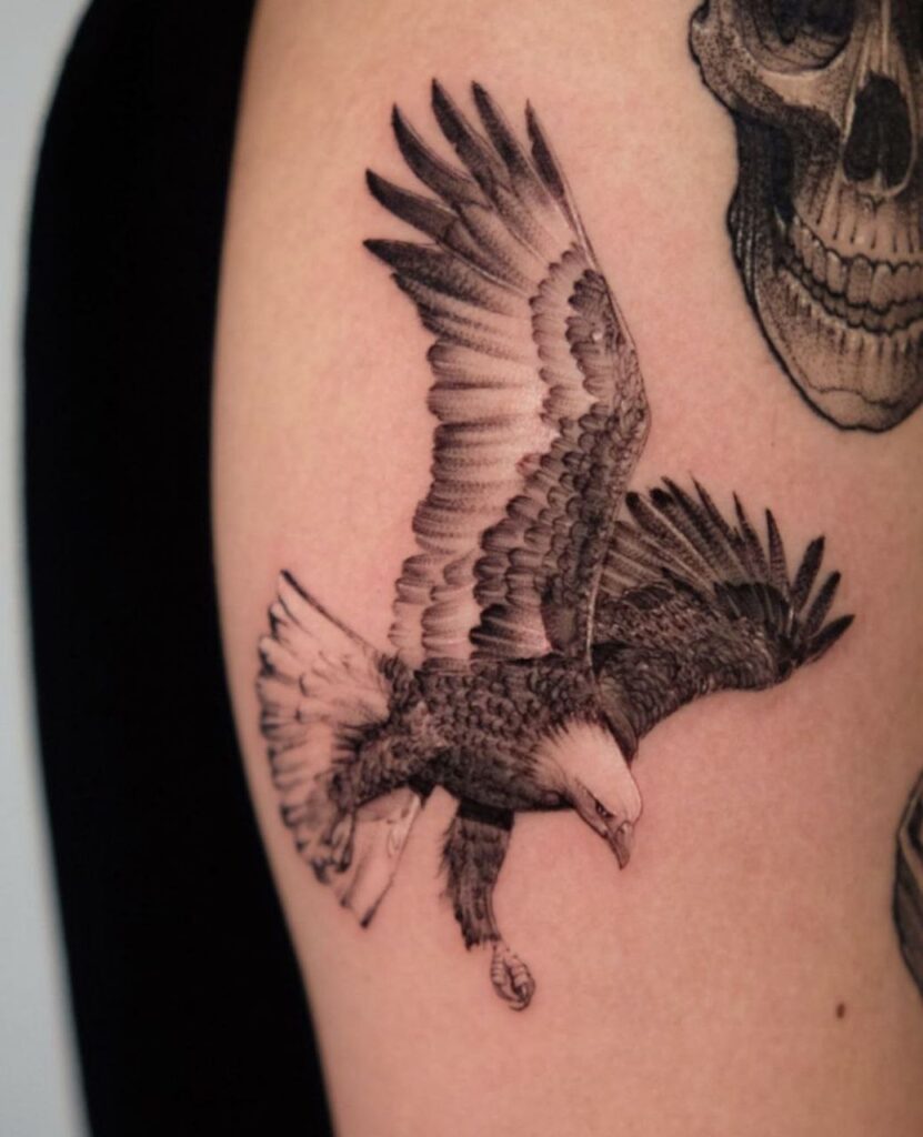 Tattoo of an eagle and skull on the shoulder for men