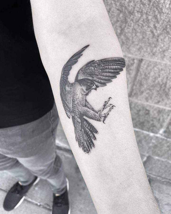 Large falcon tattoo on the forearm for men