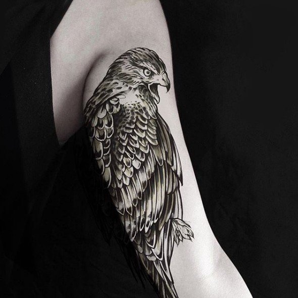 Large falcon tattoo on the shoulder for men