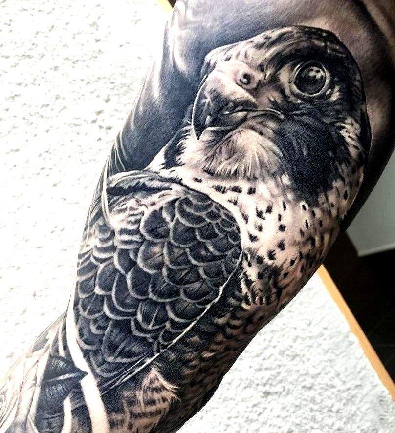 Large falcon tattoo on the leg for men