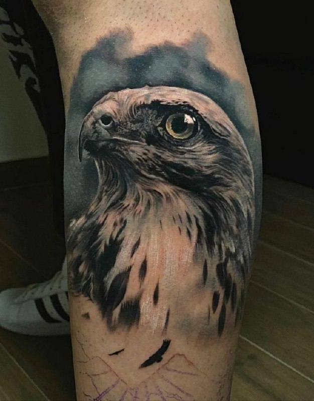 Large falcon tattoo on the shin for men