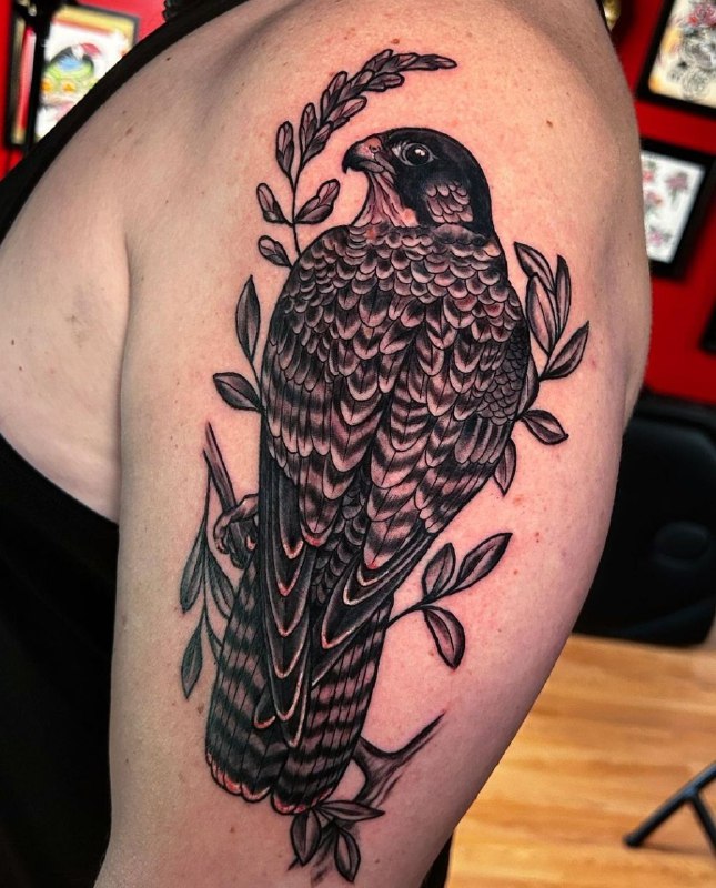 Large falcon tattoo on the shoulder for men