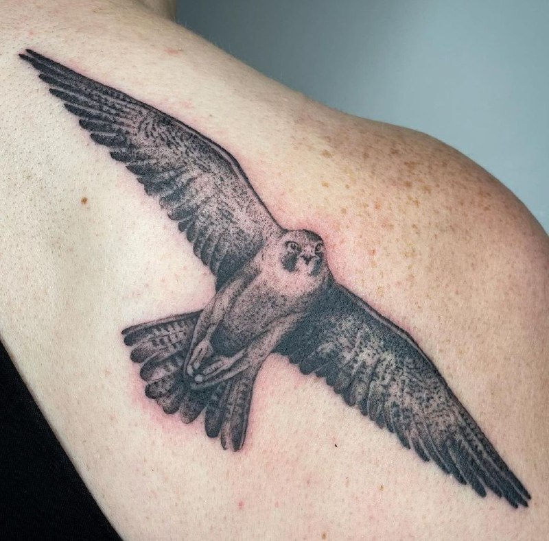 Large falcon tattoo on the shoulder blade for women