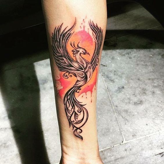 Colorful tattoo of a firebird on the forearm for men