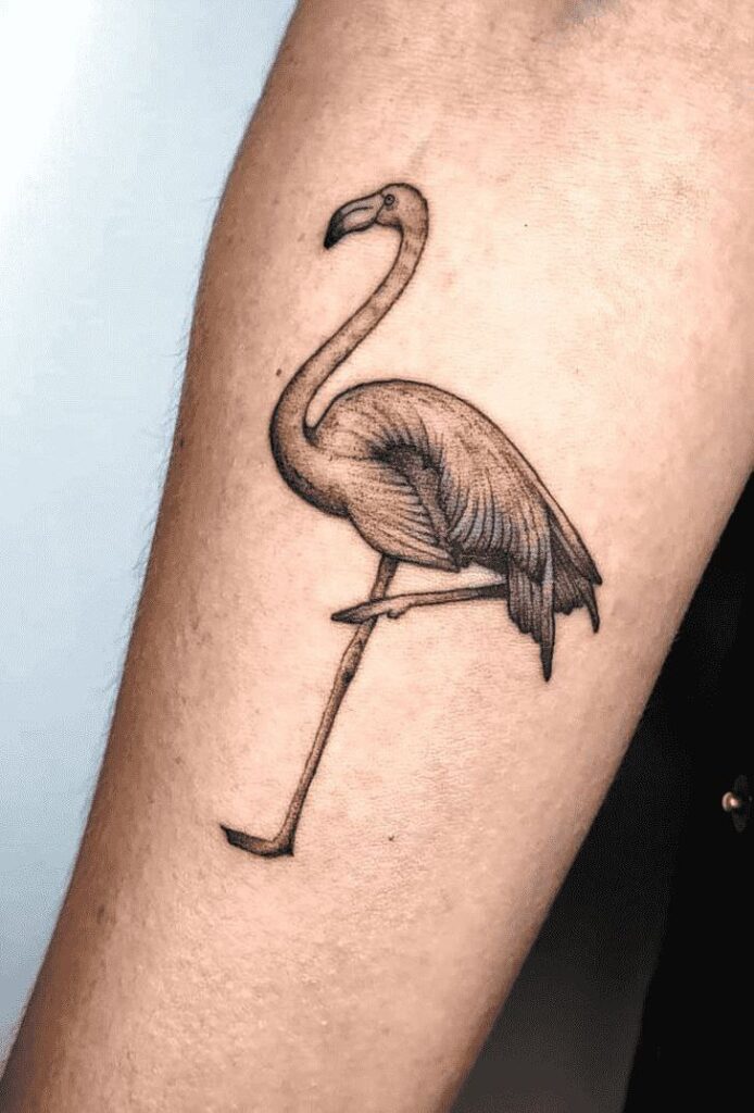 Flamingo tattoo on forearm for men