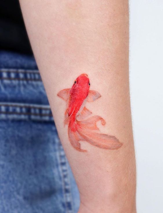 Colored goldfish tattoo on forearm for women