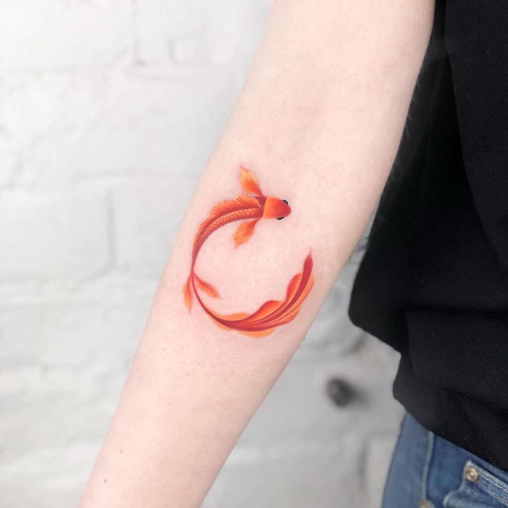 Colored goldfish tattoo on the forearm for women