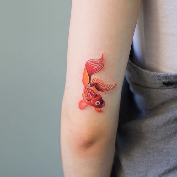 A small goldfish tattoo on the shoulder for women