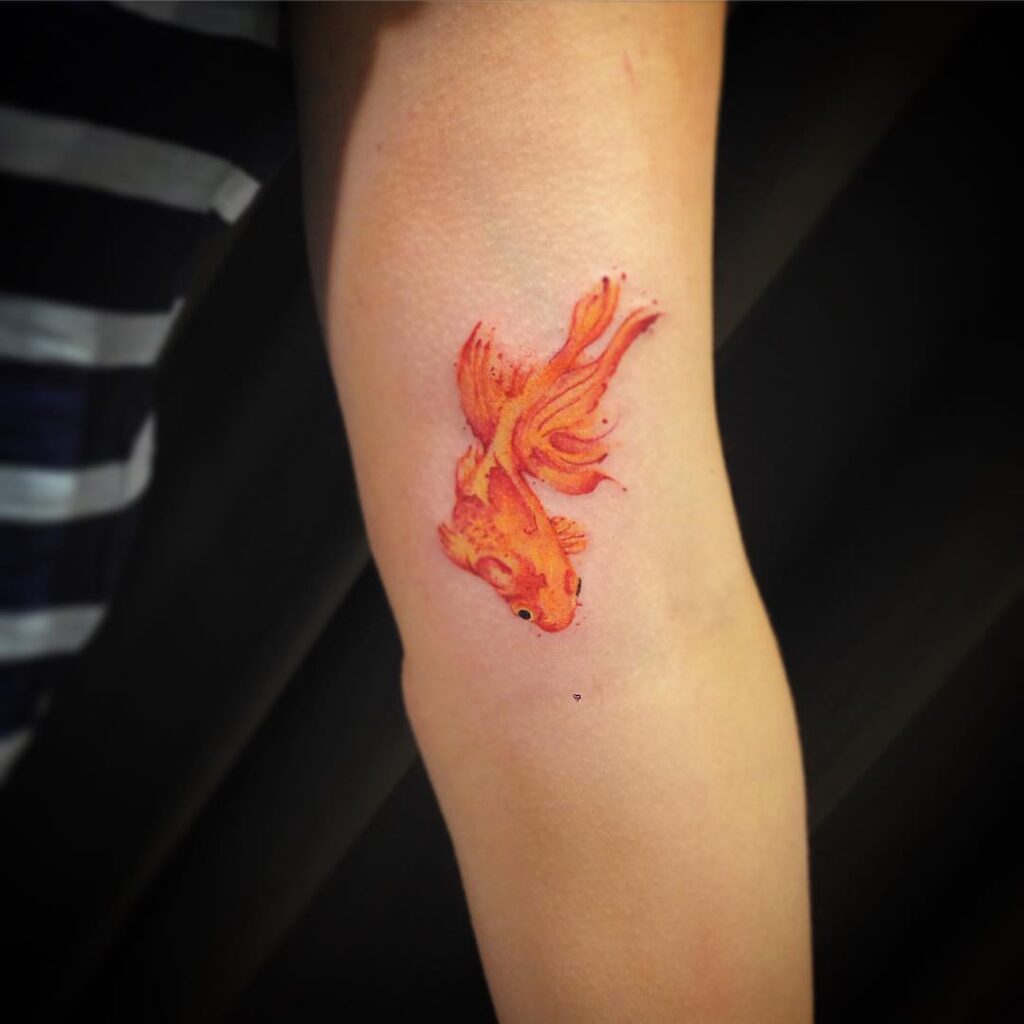 Colorful goldfish tattoo on the shoulder for women