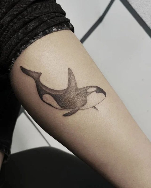 Orca tattoo on the shin for women Orca tattoo on the shin for women