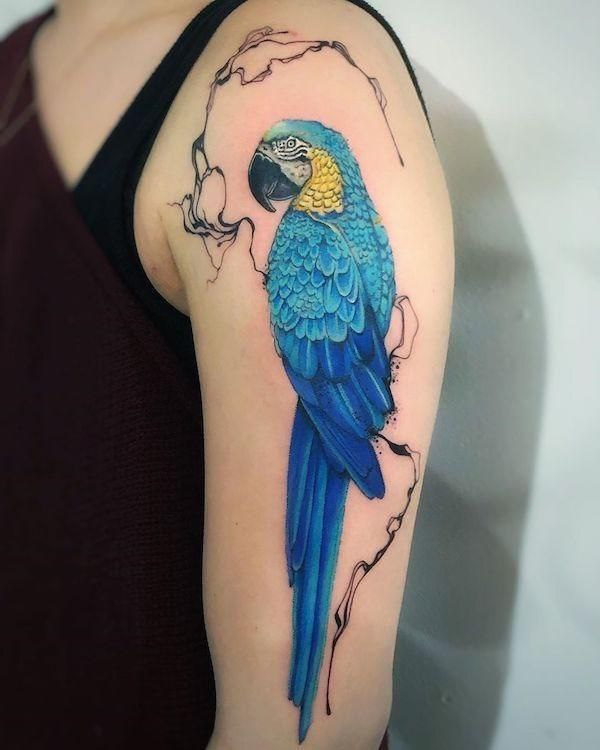 Large parrot tattoo on the shoulder for men