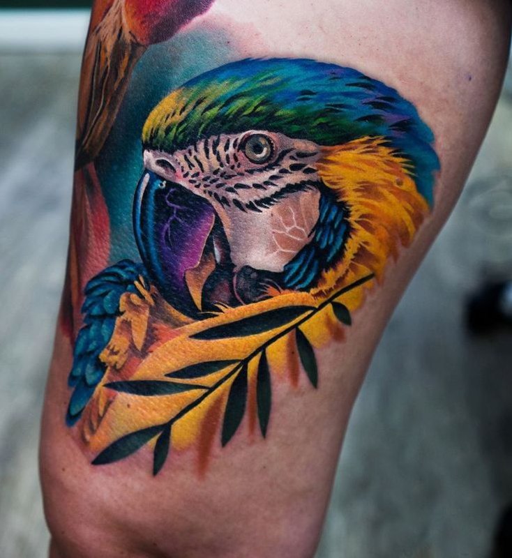 Color parrot tattoo on the hip for men