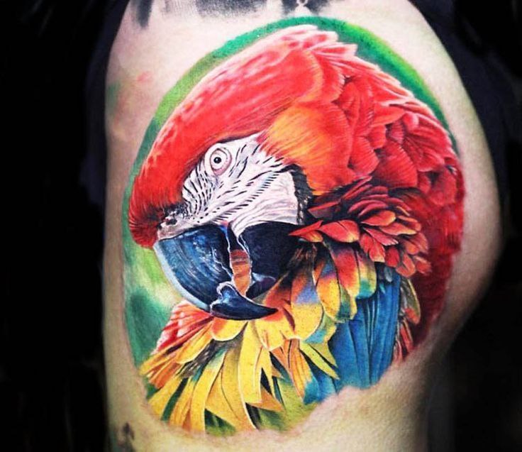 Large parrot tattoo on the shoulder for men