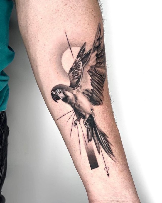 Large parrot tattoo on the forearm for men