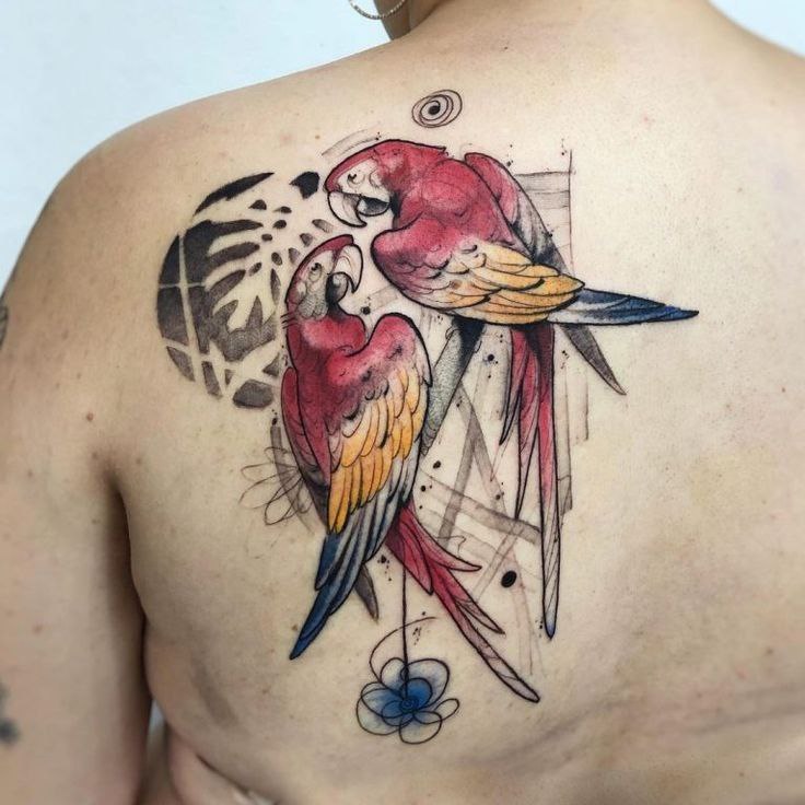 Color tattoo of two parrots on the shoulder blade for men