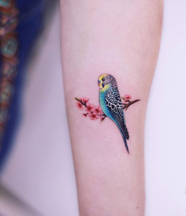 Small parrot tattoo on the arm for women