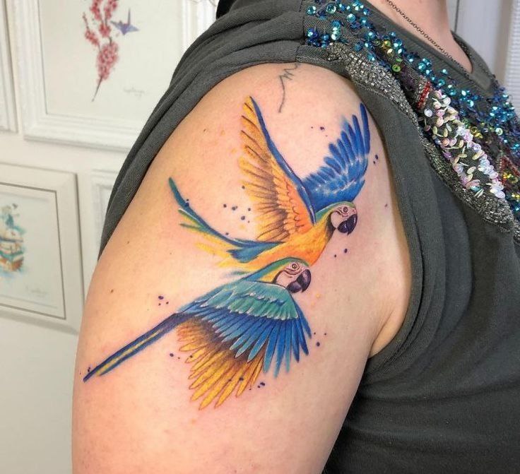 Large tattoo of two parrots on the shoulder for women