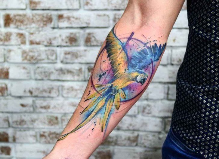 Colored parrot tattoo on the forearm for men