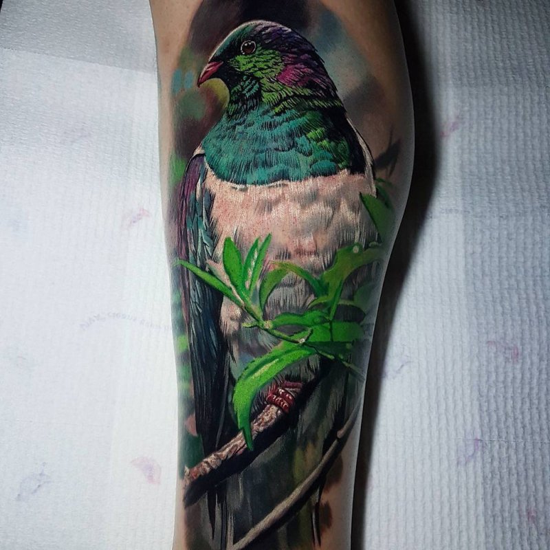 Large parrot tattoo on the forearm for men