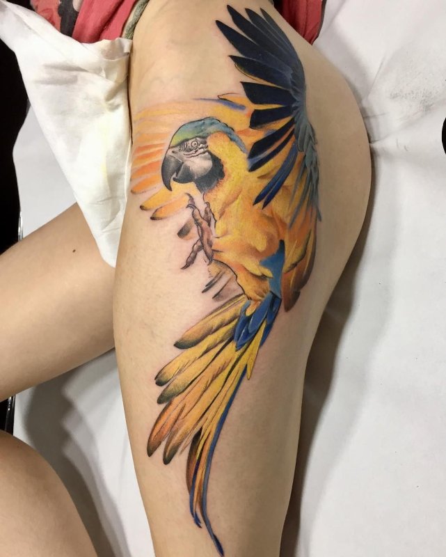 Colorful parrot tattoo on the thigh for women