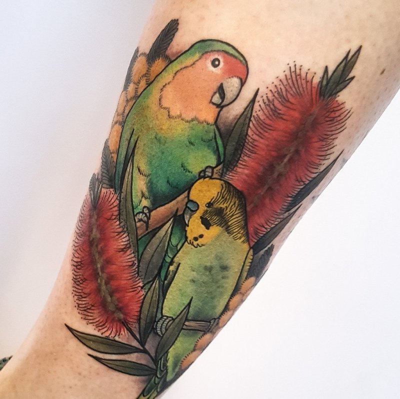 Large tattoo of two parrots on the shin for women