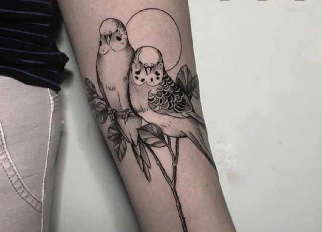 Large tattoo of two parrots on the forearm for women