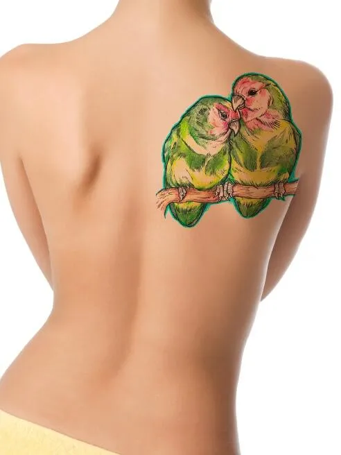 Colorful tattoo of two parrots on the shoulder blade for women