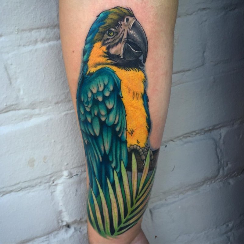 Large parrot tattoo on the forearm for men