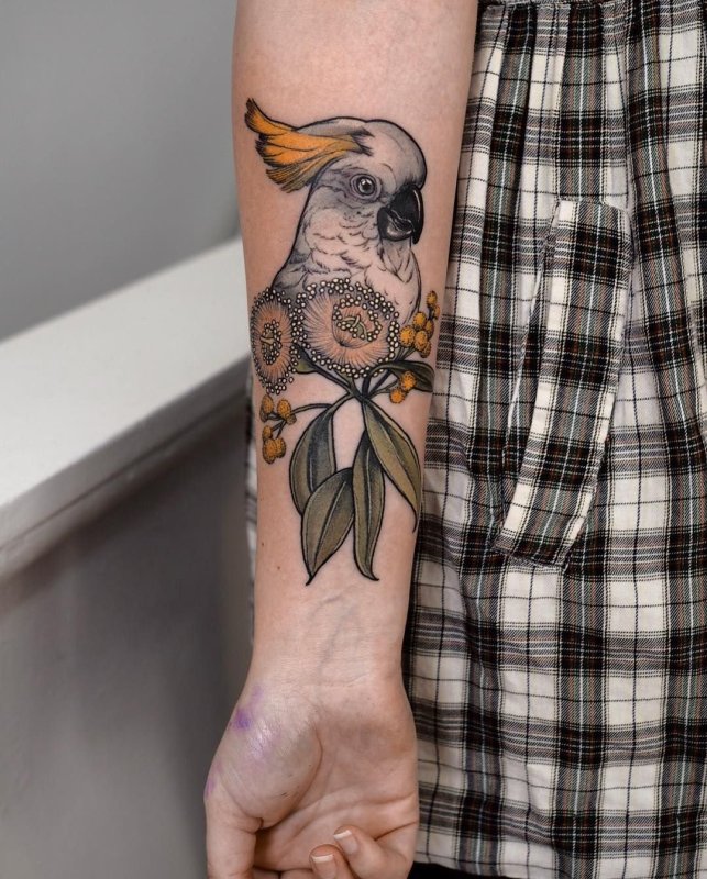 Color parrot tattoo on forearm for women