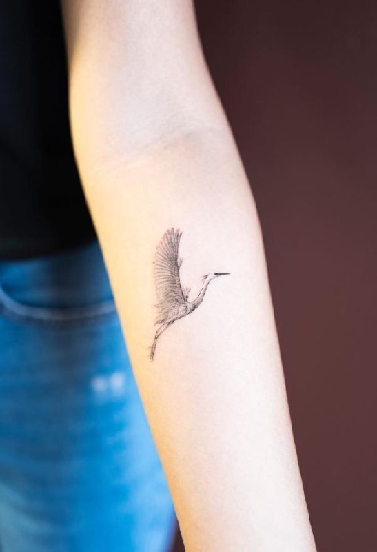 A small stork tattoo on the forearm for women