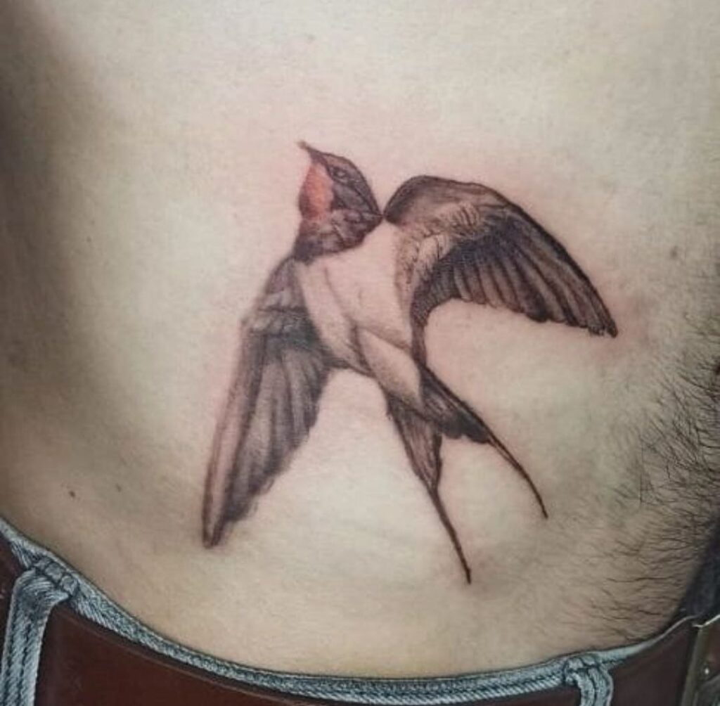 Large swallow tattoo on the abdomen for men