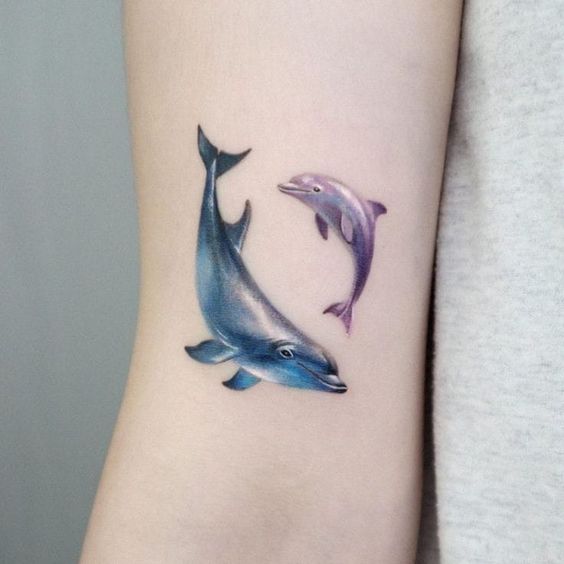 Colorful tattoo of two dolphins on the shoulder for women