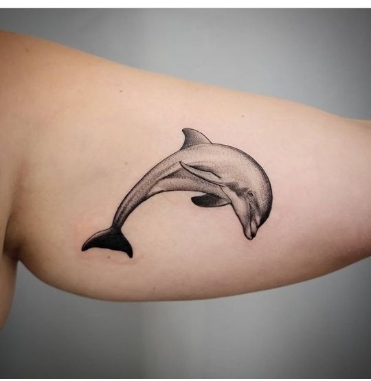 Dolphin tattoo on the biceps for men