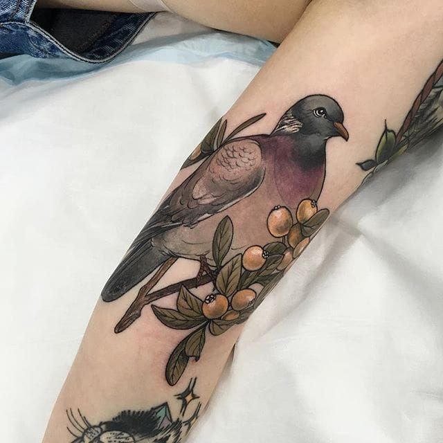 Color tattoo of a dove on the leg for women