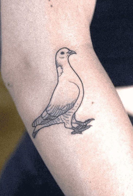 Tattoo of a dove on the forearm for women