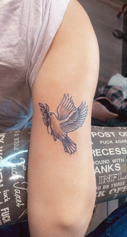 Tattoo of a dove on the shoulder for women