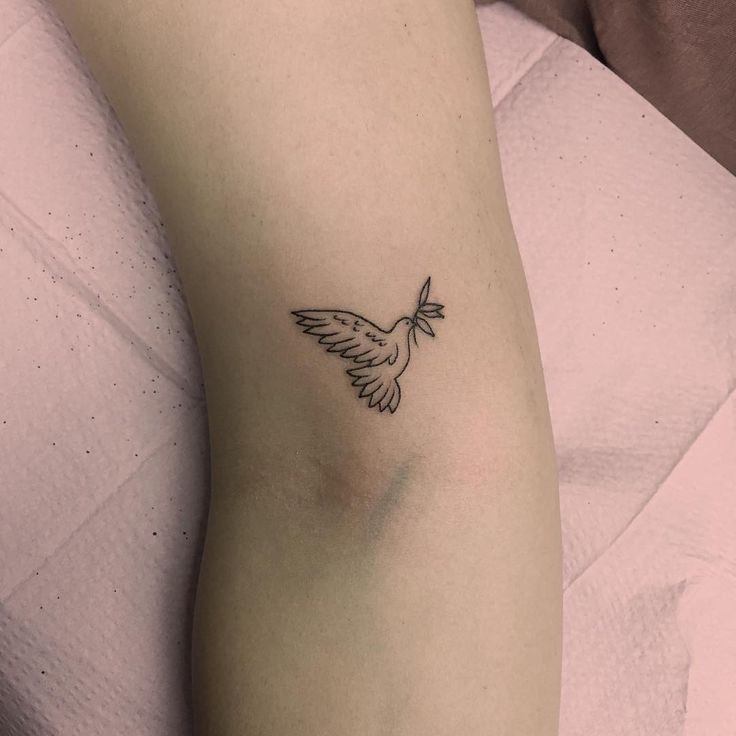 Small tattoo of a dove on the shoulder for women