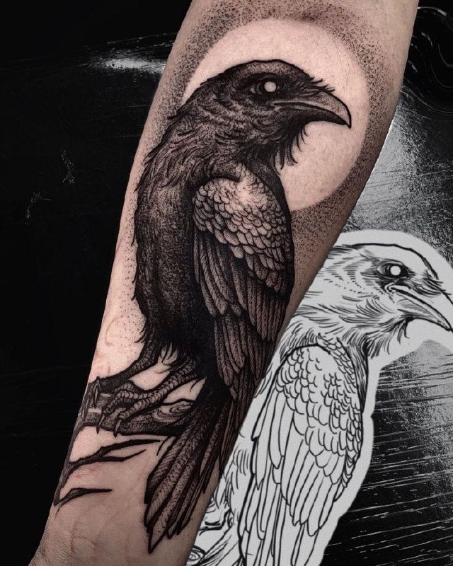 Large tattoo of a raven on the forearm for women