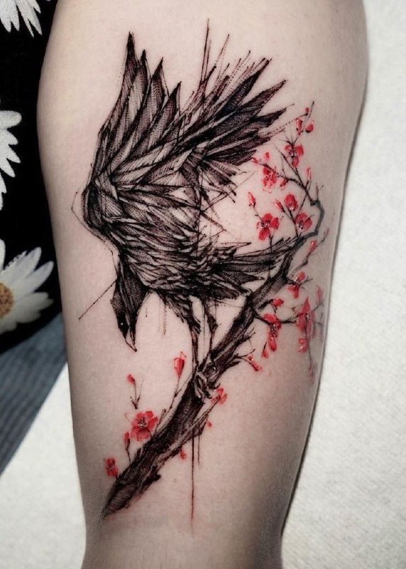 Color tattoo of a raven on the shoulder for women