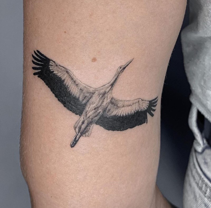 Stork tattoo on the shoulder for men